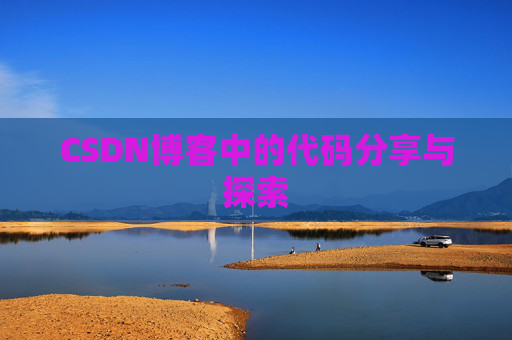 CSDN博客中的代码分享与探索